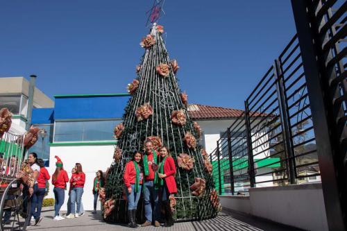 Navidad-23-de-ciciembre-13